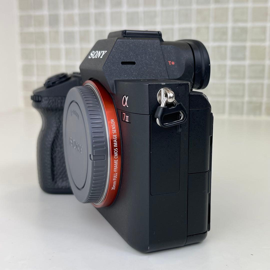 撮影枚数11877枚　SONY α7III + TAMRON 28-75mm