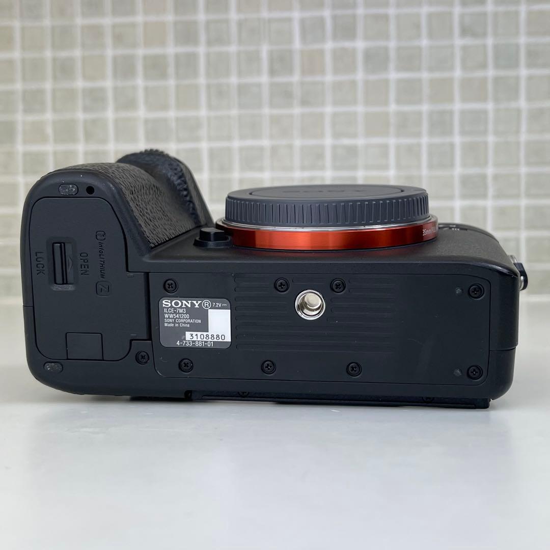 撮影枚数11877枚　SONY α7III + TAMRON 28-75mm