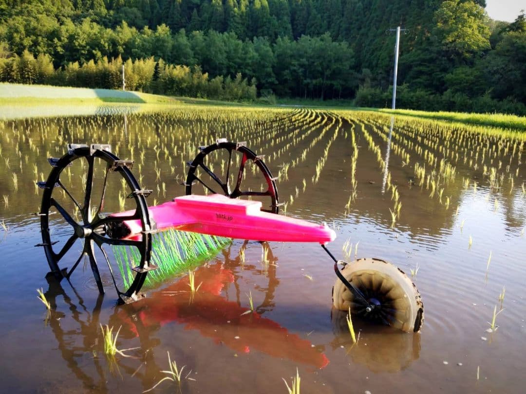 ★自然栽培米　玄米10kg(5kg×2)　令和7年度　熊本県産　森のくまさん★