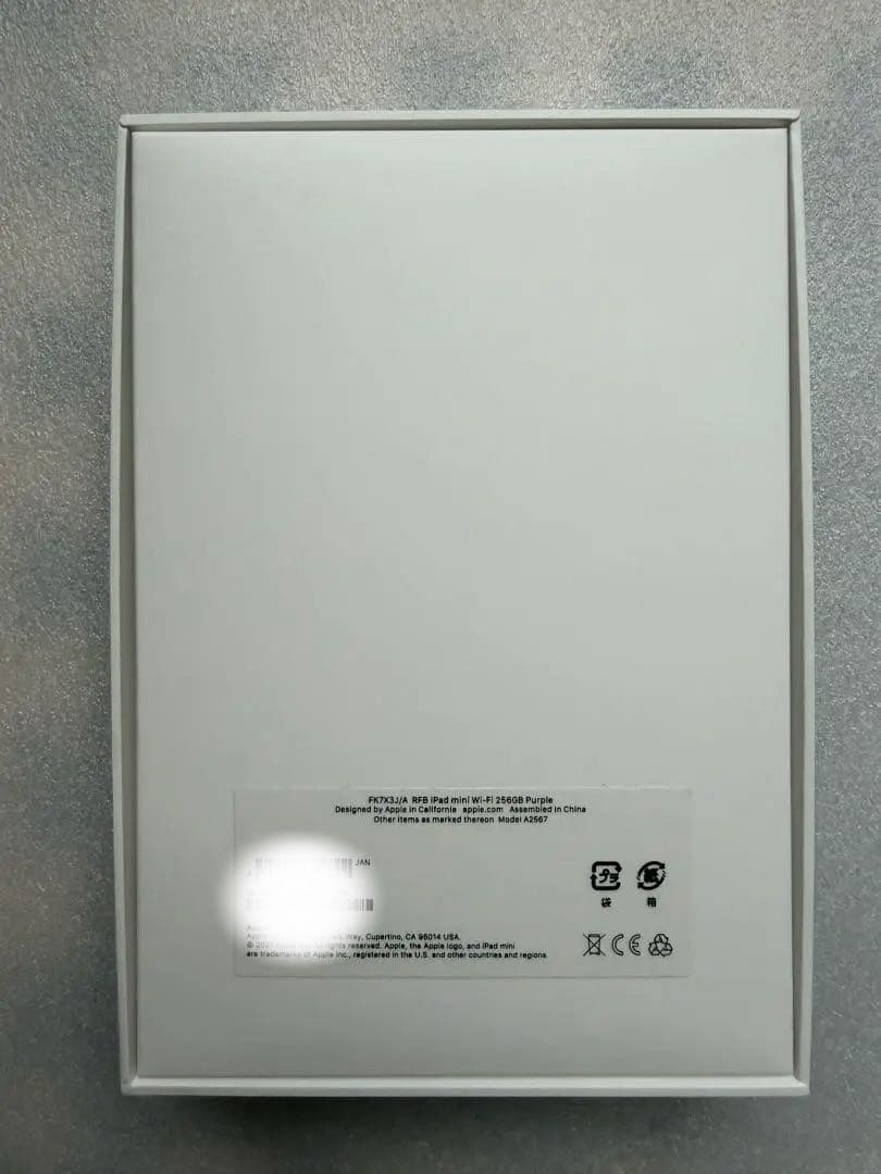 iPad mini 256GB 第6世代 本体