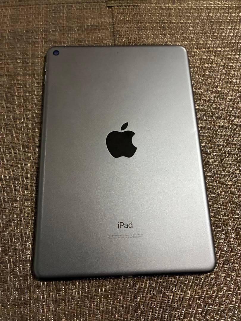 ジャンクiPad mini5 64Gb wifi