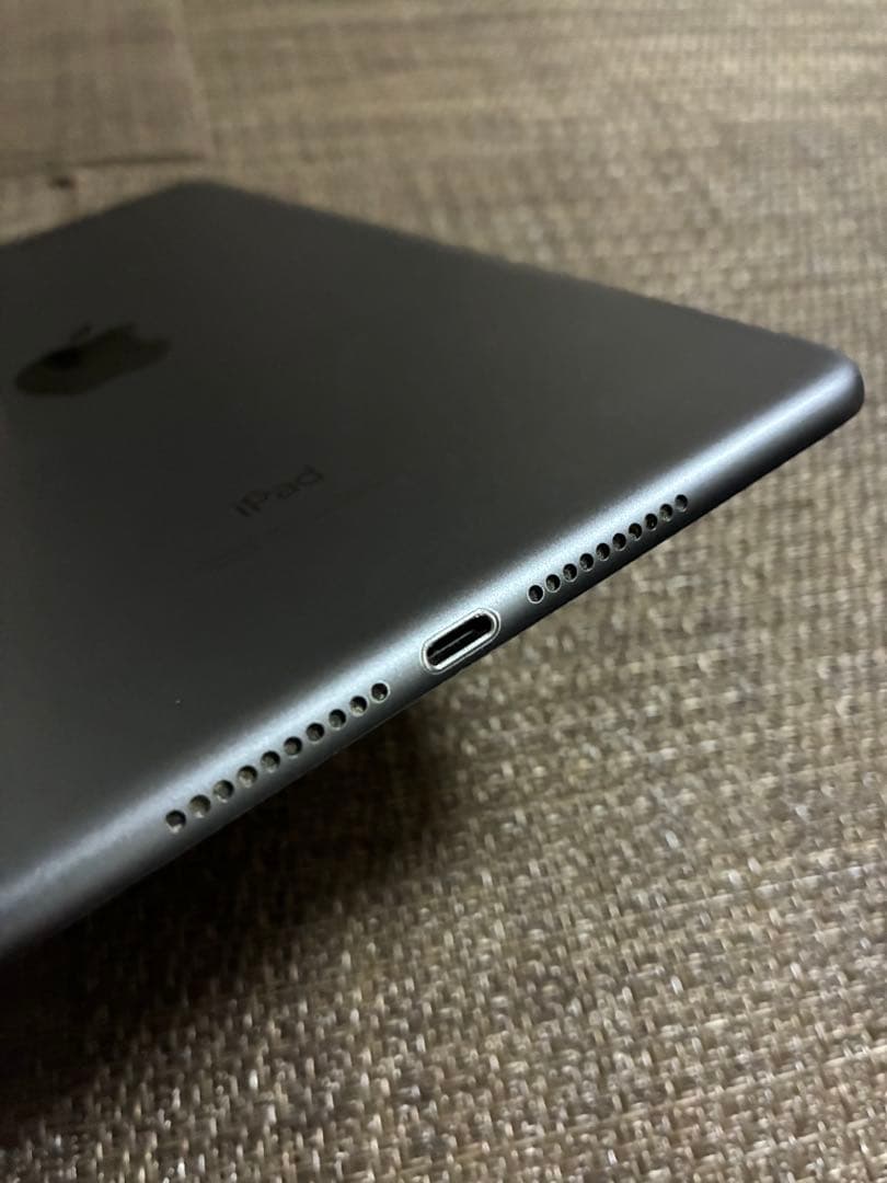 ジャンクiPad mini5 64Gb wifi