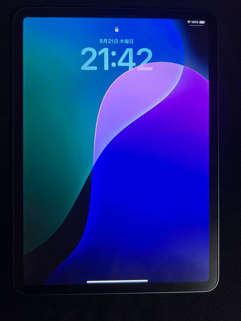 iPad Pro 第4世代　11インチ Wi-Fiモデル