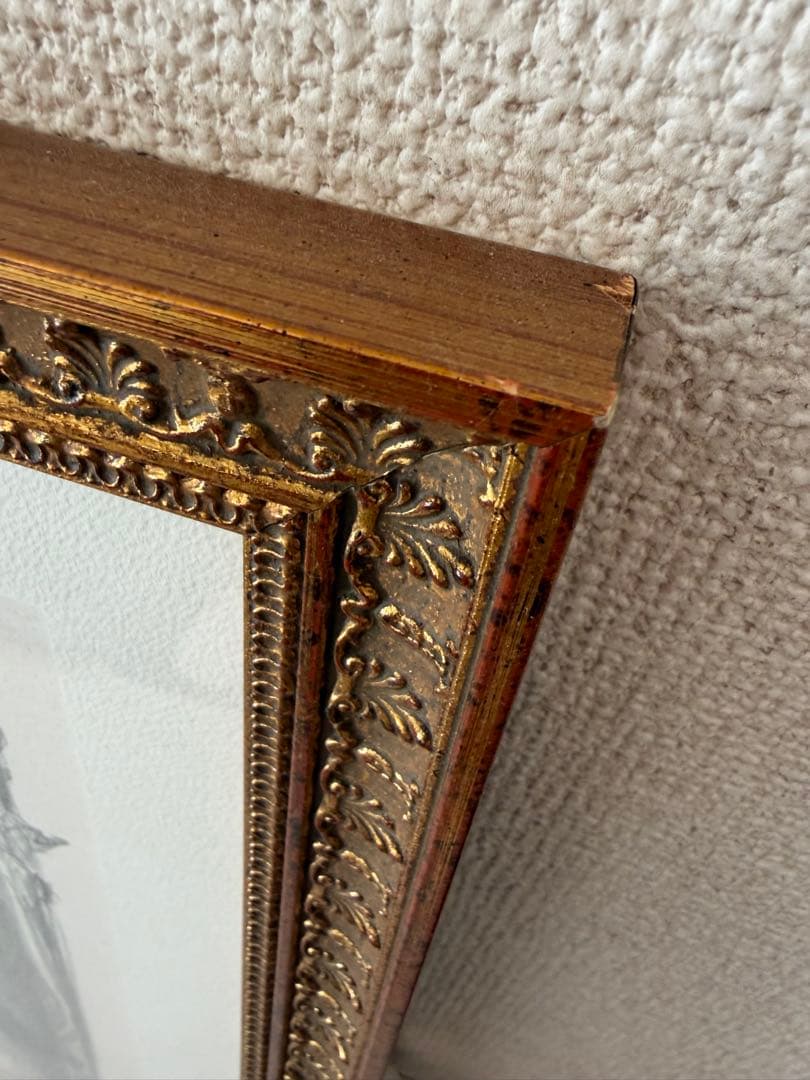 天野喜孝 ヴァンパイアハンターD リトグラフ ミスティシリーズ