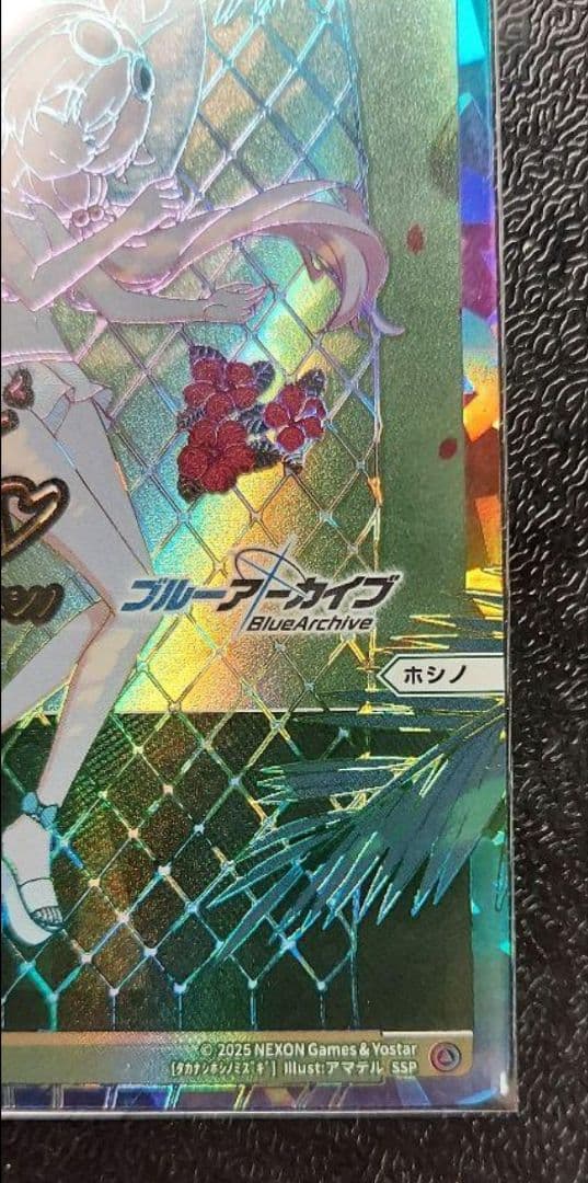 専用出品　　WIXOSS SSPシリアル 小鳥遊ホシノ