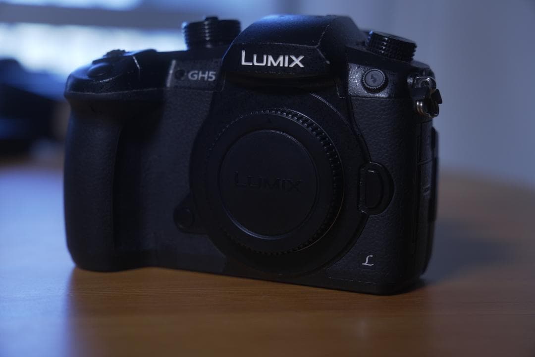 LUMIX GH5 ミラーレス一眼カメラ（V-Log Lアクティベート済）