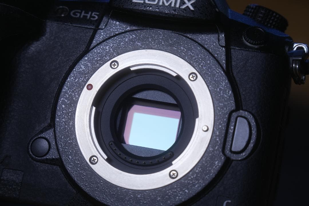 LUMIX GH5 ミラーレス一眼カメラ（V-Log Lアクティベート済）