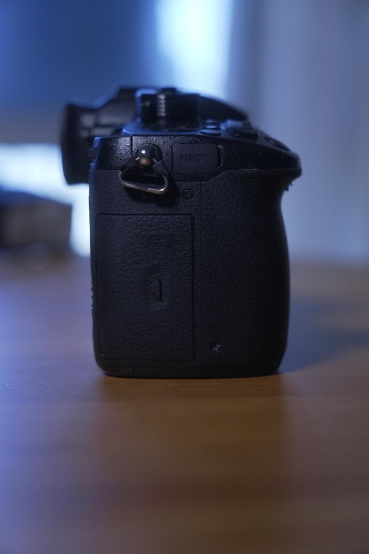 LUMIX GH5 ミラーレス一眼カメラ（V-Log Lアクティベート済）