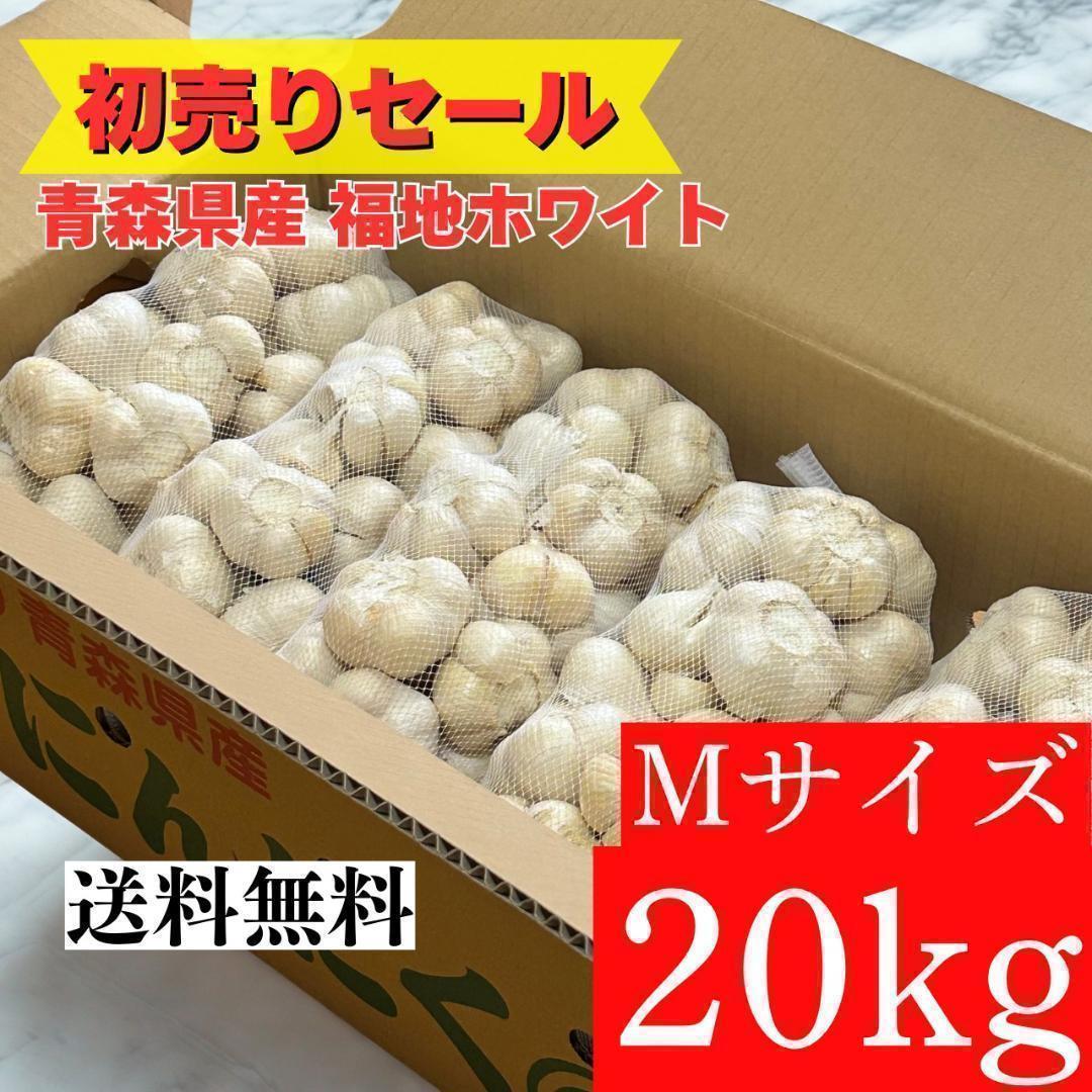 【初売りセール】青森県 福地ホワイト にんにく M 20kg 種にんにく 家庭用