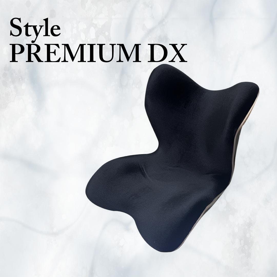 スタイルプレミアムデラックス 「Style PREMIUM DX」