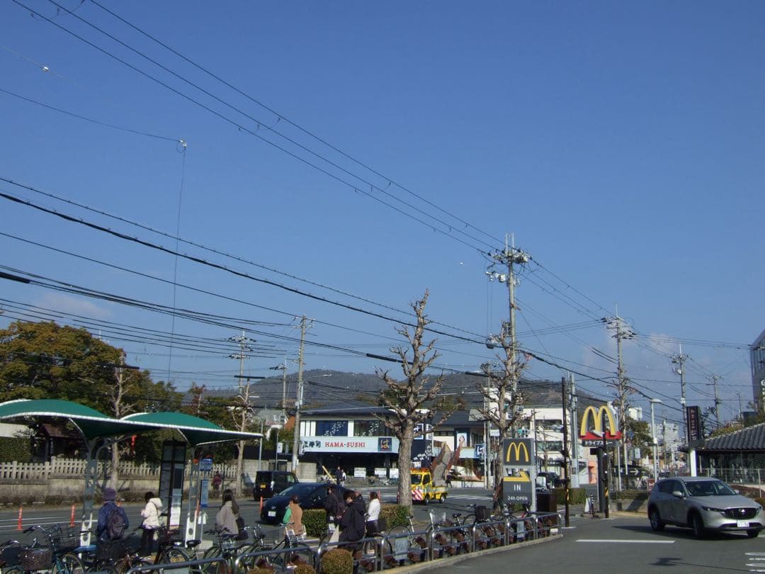 【作例有】FUJIFILM FinePix F31fd コンデジ CCD 動作品