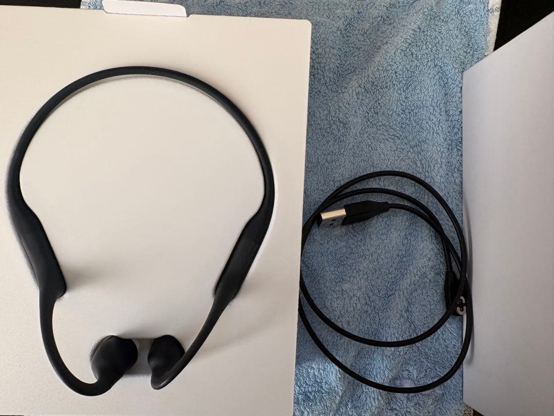 OpenRun Mini Black S803 骨伝導イヤホン