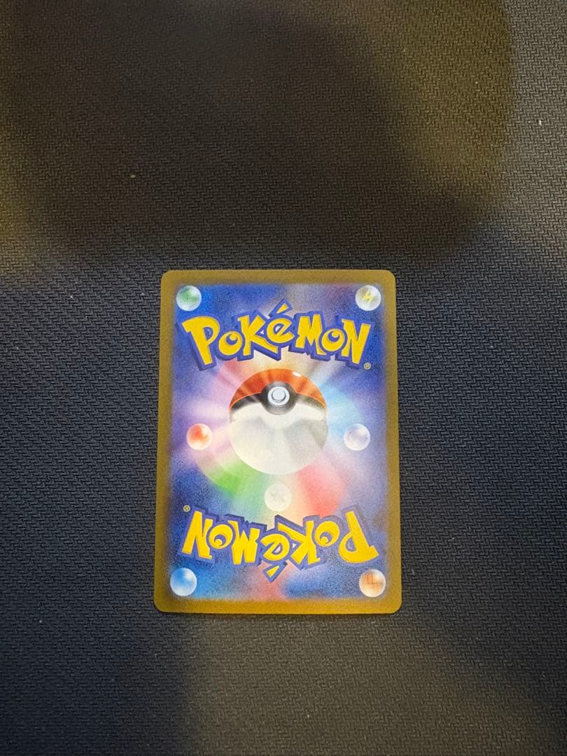 ミ*チ様 ブラッキー　yunagaba 1枚