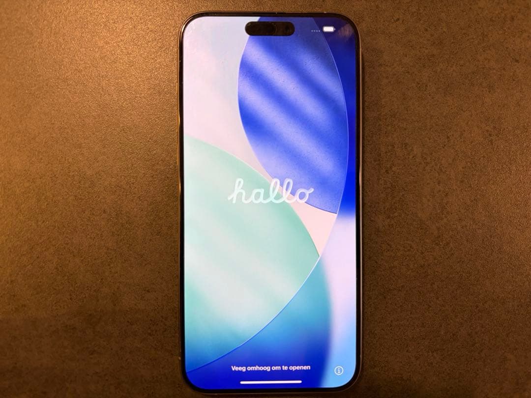 【美品】iPhone 15 Pro Max 海外版 + CASETiFYケース