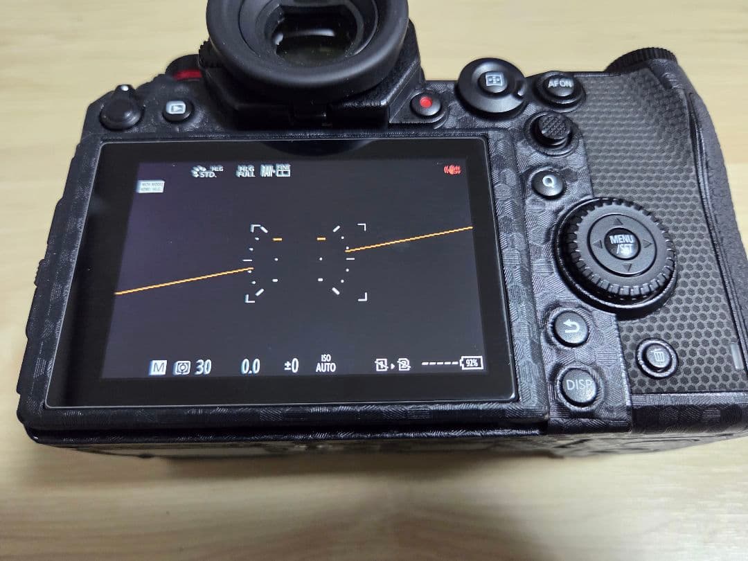ヒ*ロ様 【6K撮影対応】Panasonic LUMIX S1 V−Logアップ