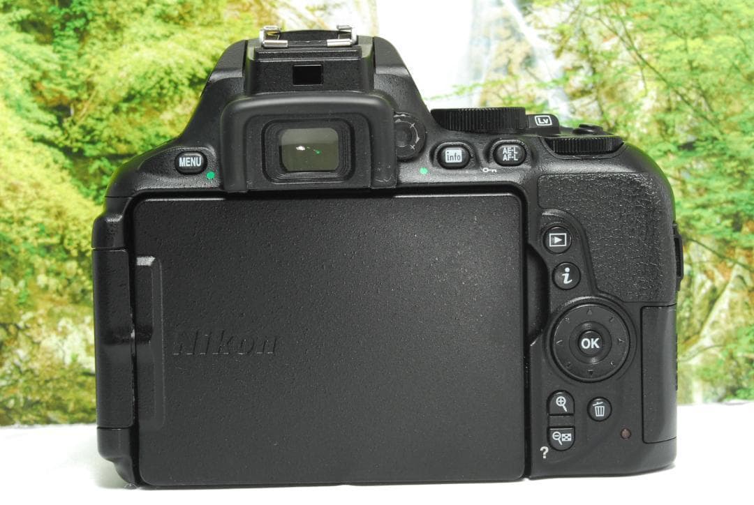 ✨アプリと連携して写真をスマホへ自動転送✨Nikon D5600✨軽量✨高性能✨