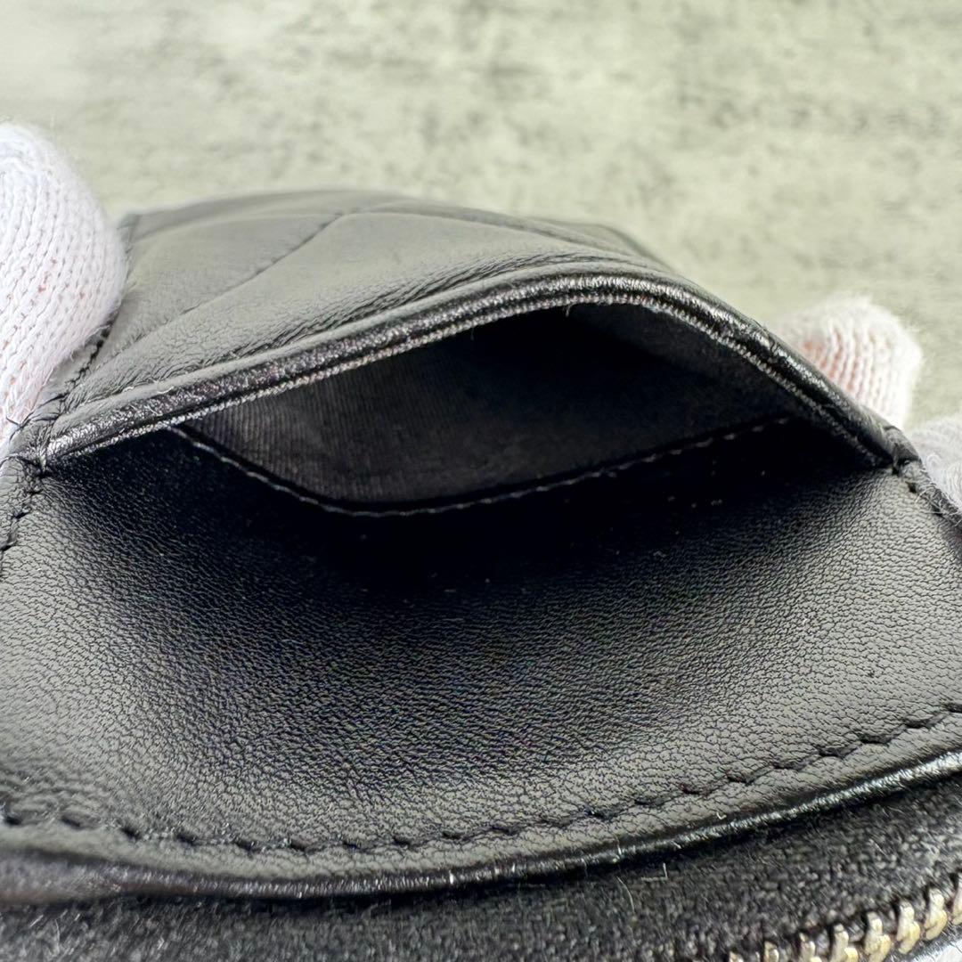 CHANEL 19 ディズヌフ　ケース　フラグメントケース