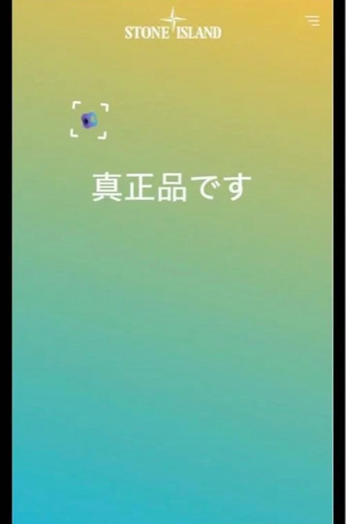 ストーンアイランド Stone  ガーメントダイカーゴパンツ w31