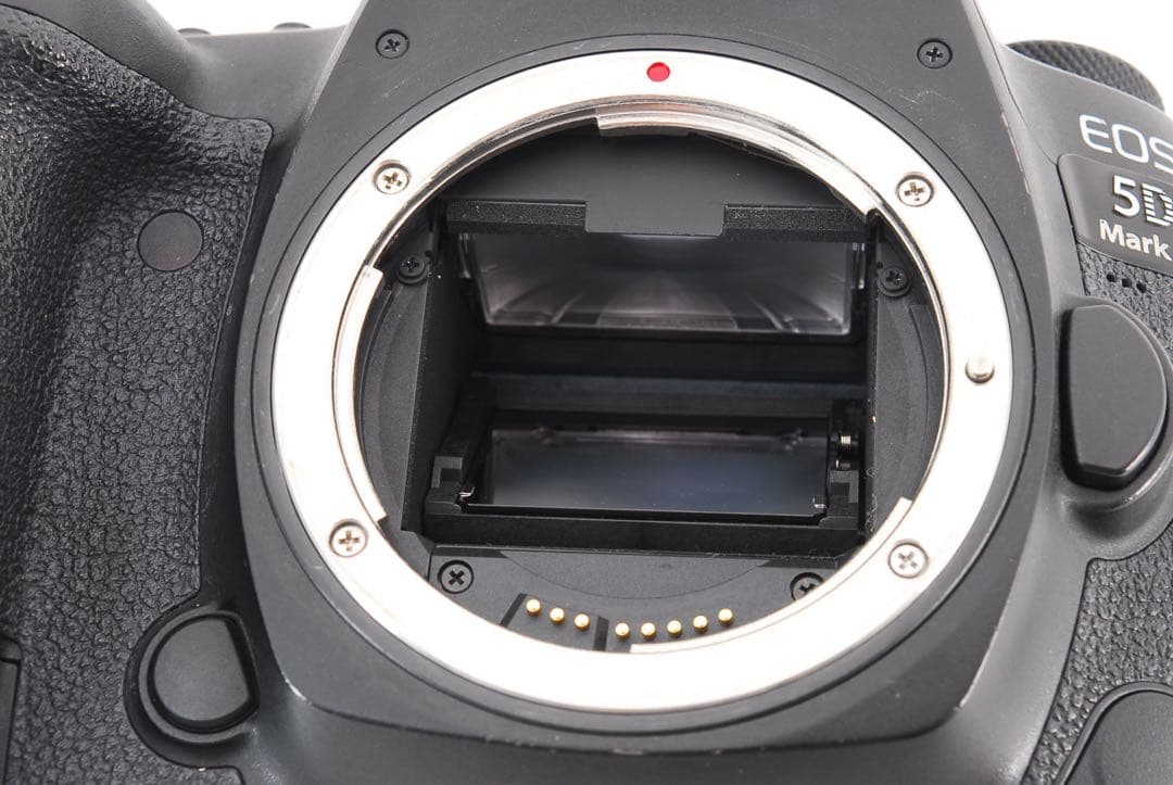 【保証付】Canon EOS 5D Mark IV標準&望遠&単焦点セット