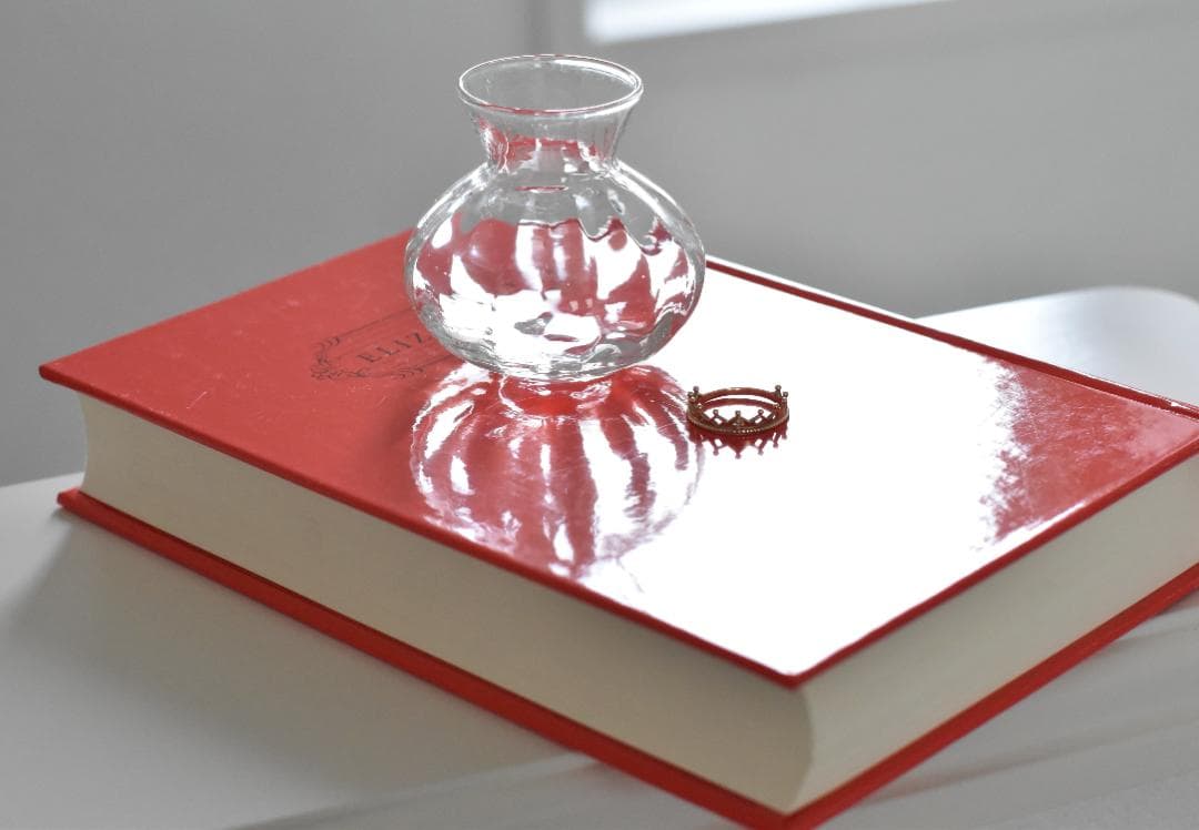 フィルムカメラ Nikon F2 NIKKOR-S Auto 50mm F1.4