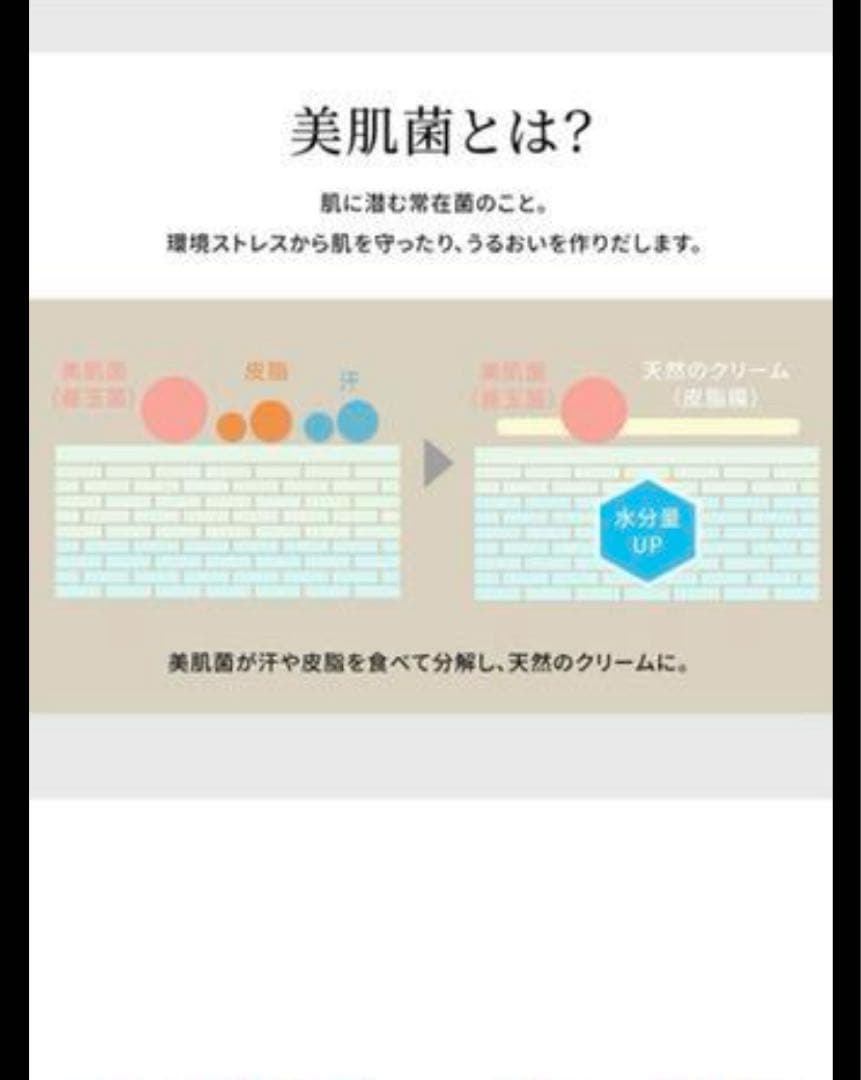 ヤーマン フォトスチーマー IS-100P