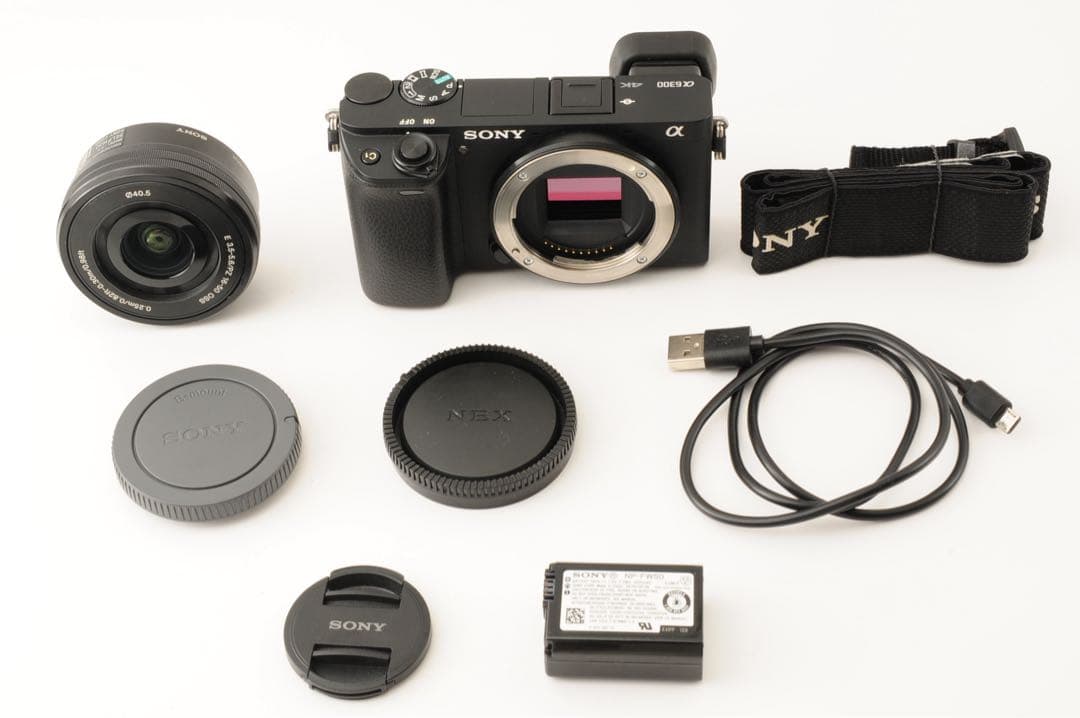 美品 ◆ショット数:1,571回◆ SONY ソニー α6300 16-50mm