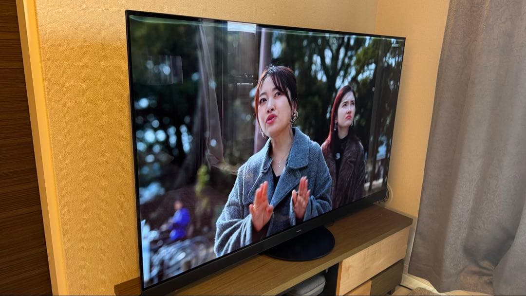Panasonic 4K有機ELテレビ TH-65HZ1800 2020年 引取
