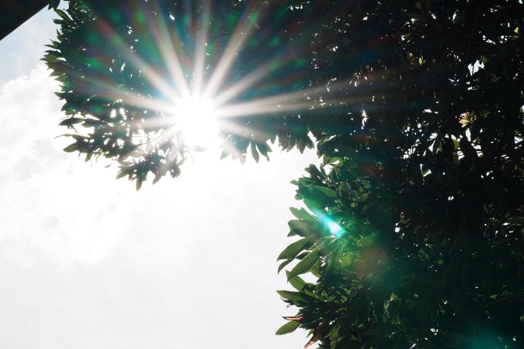 SONY SEL55210★自然な瞬間を切り取る望遠レンズ★運動会・スポーツに