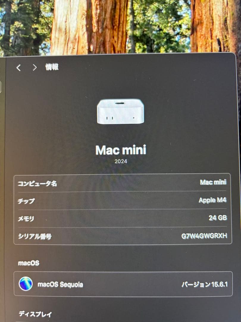 Apple Macmini M4 メモリ24GB +ドッキングステーション