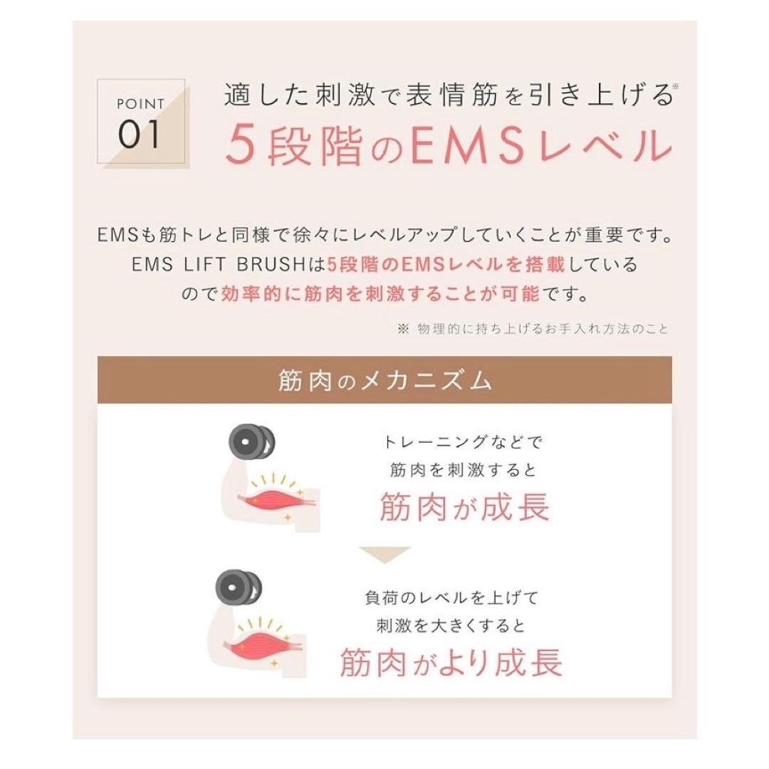 【新品未開封】SALONIA サロニア　EMSリフトブラシ　電気ブラシ