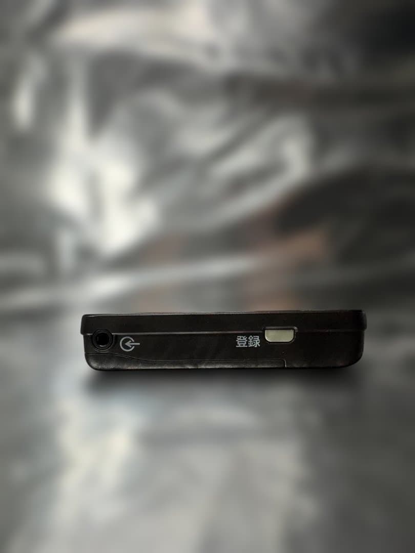 Panasonic 集音器 つながるポケット WH-J25D-S