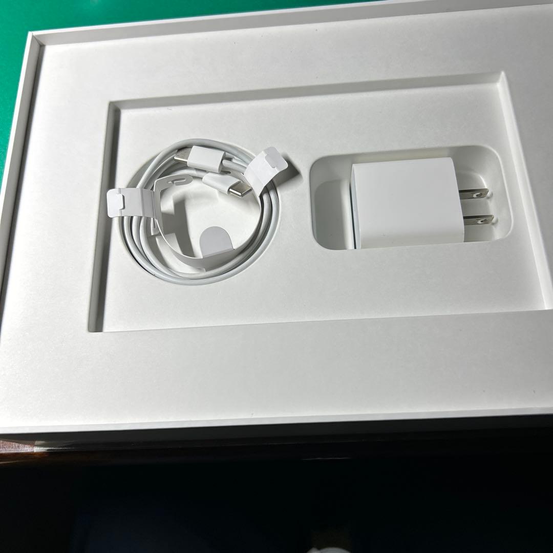 iPad Pro 11インチ 第三世代 Cellular モデル　256GB