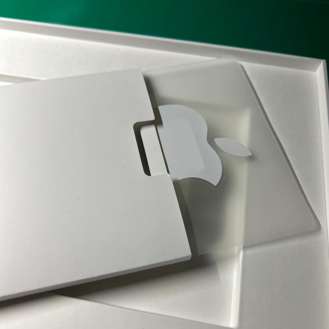 iPad Pro 11インチ 第三世代 Cellular モデル　256GB