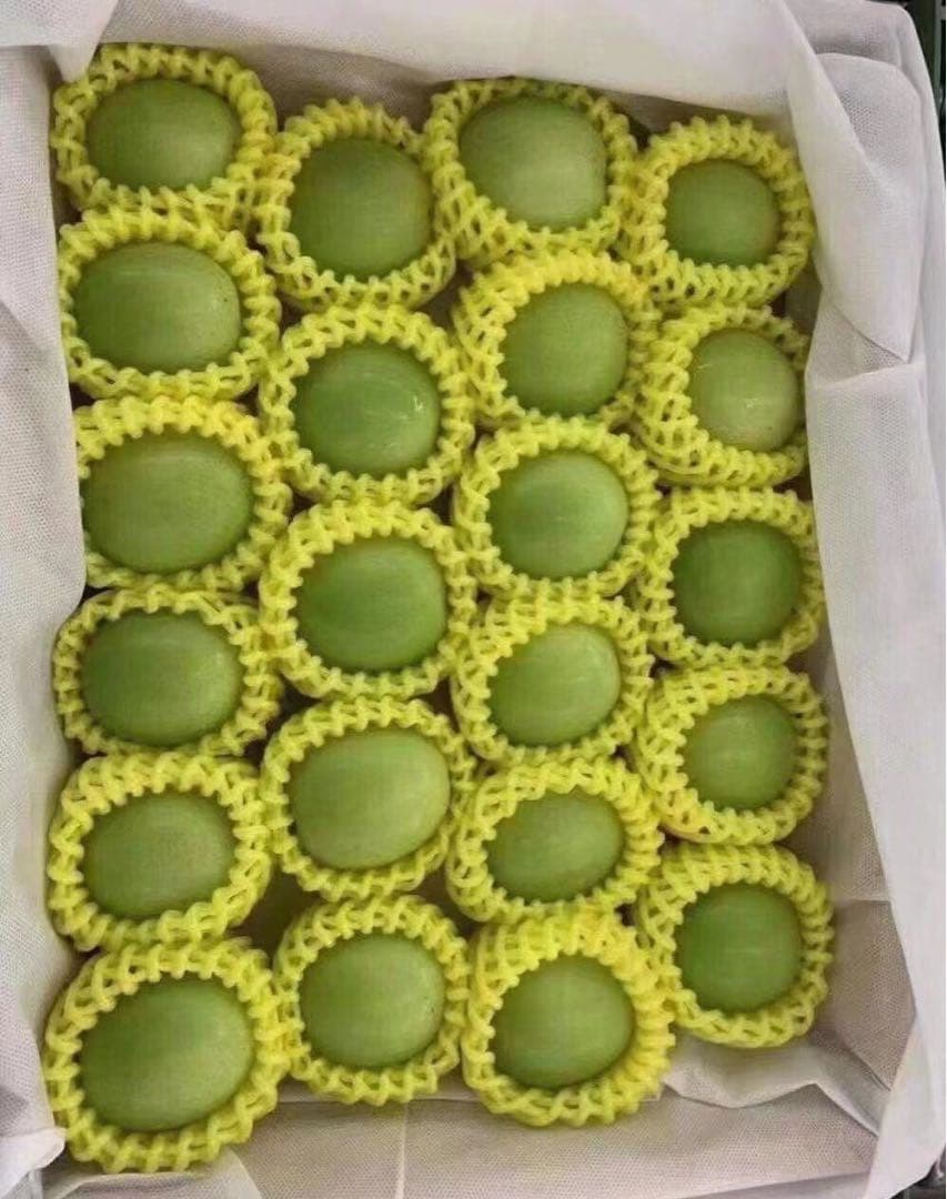 418新鮮台湾ナツメ　台湾青棗 箱込み2.5kg(１８~24玉)玉数お任せ