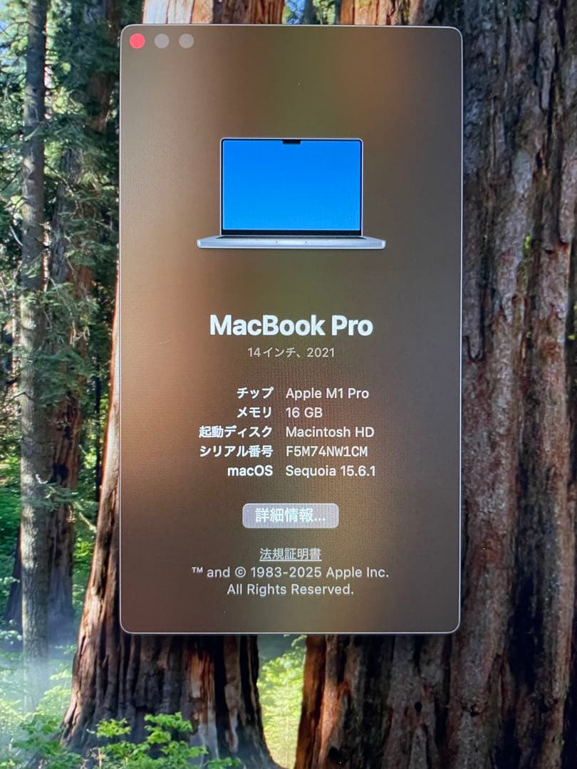 MacBook本体 MacBook Pro 14inch M1 16GB/512GB