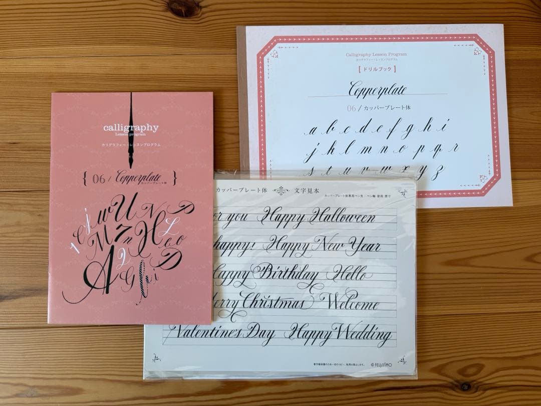 未使用品　カリグラフィー レッスン 全種セット フェリシモ