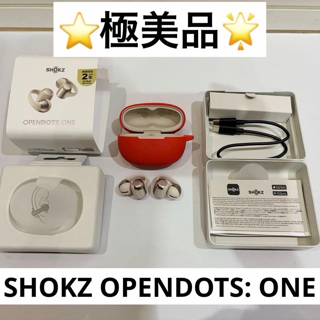 【極美品・オマケケース】SHOKZ OPENDOTS: ONE グレー