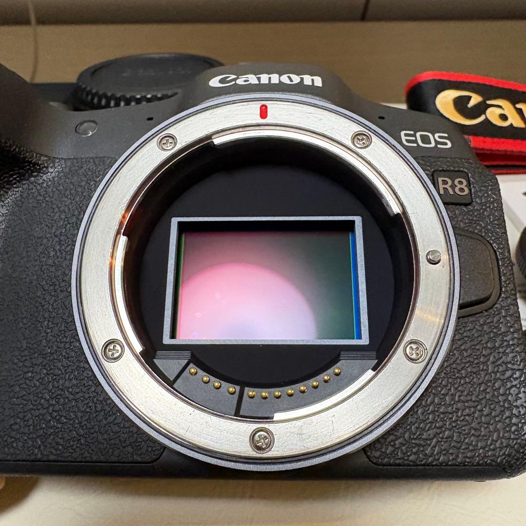 Canon EOS R8 ボディ　フルサイズミラーレス