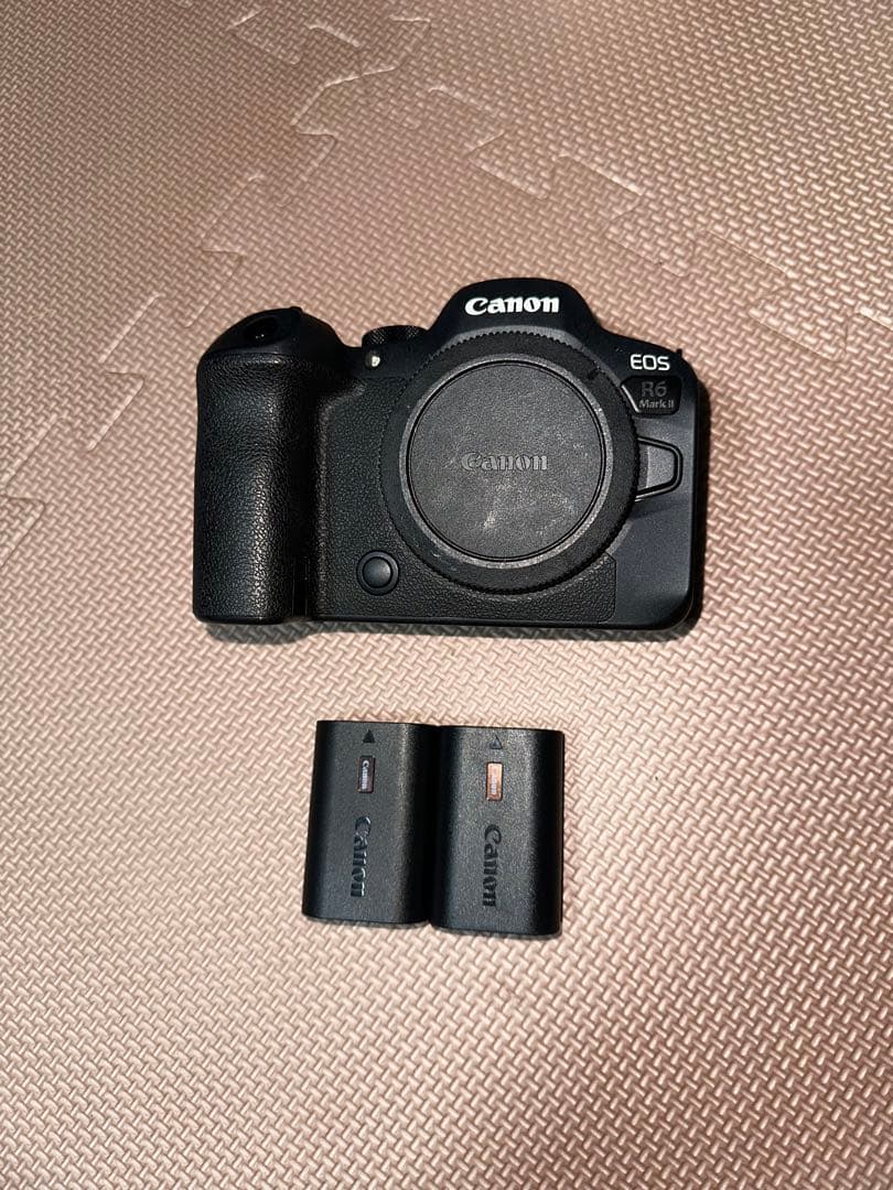 Canon EOS R6 MarkⅡ 本体+純正バッテリー2個