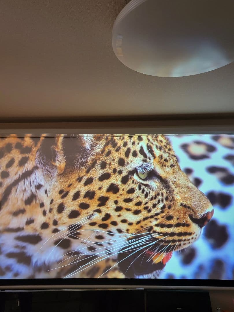 EPSON　tw8100　プロジェクター