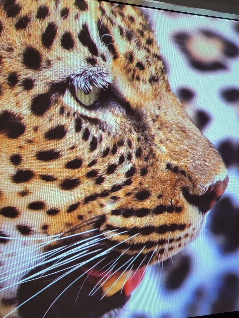 EPSON　tw8100　プロジェクター