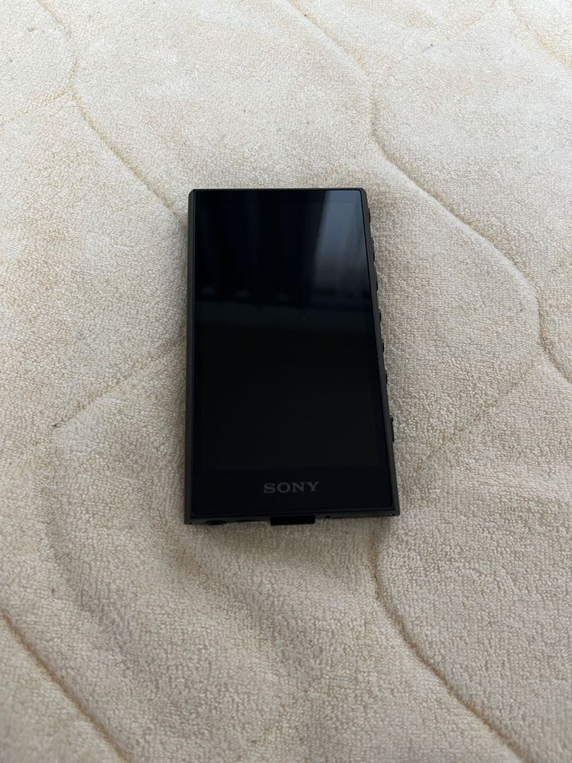 SONY NW-A307 BC 64GB microsd 128gb ケース