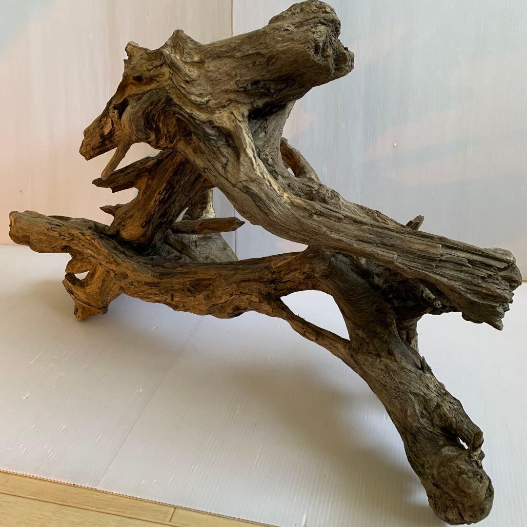 銀*時様 アク抜き済み流木　No.10 超レア型　沈水確認済