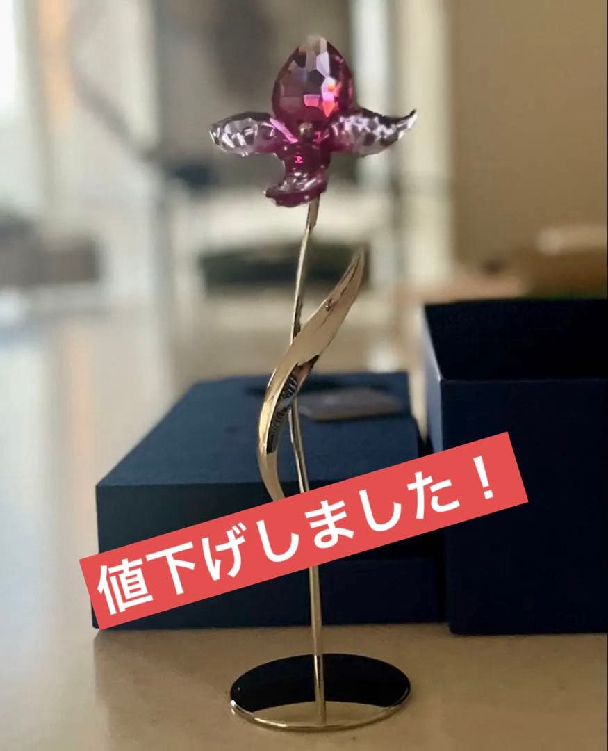 【希少•美品】SWAROVSKI Doroa Fuchsia Rain 廃盤品