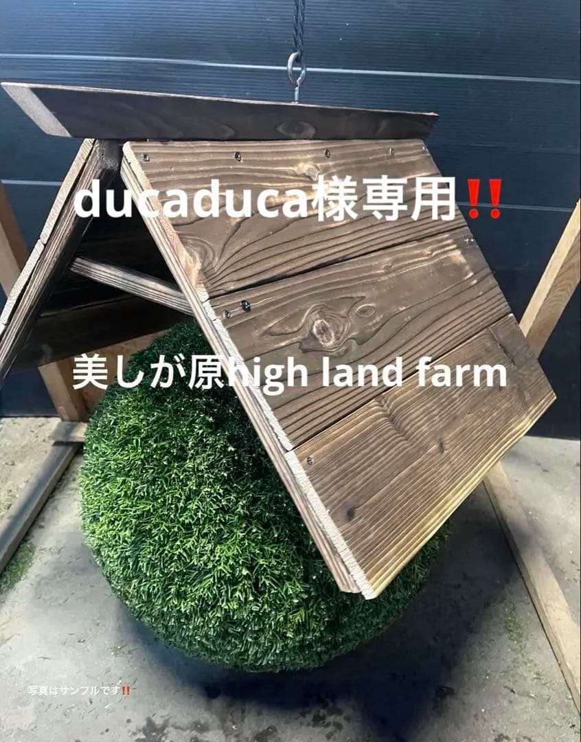 杉玉　約40センチ‼️お客様ご注文品　縁起物　丸くて幸せ　家族円満♪