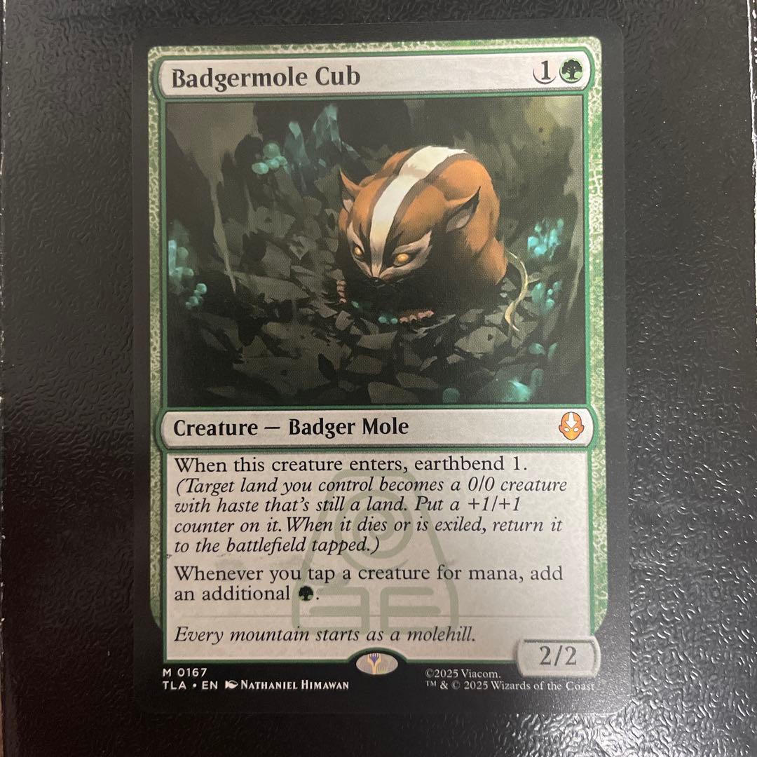 アナグマモグラの仔 英語 1枚