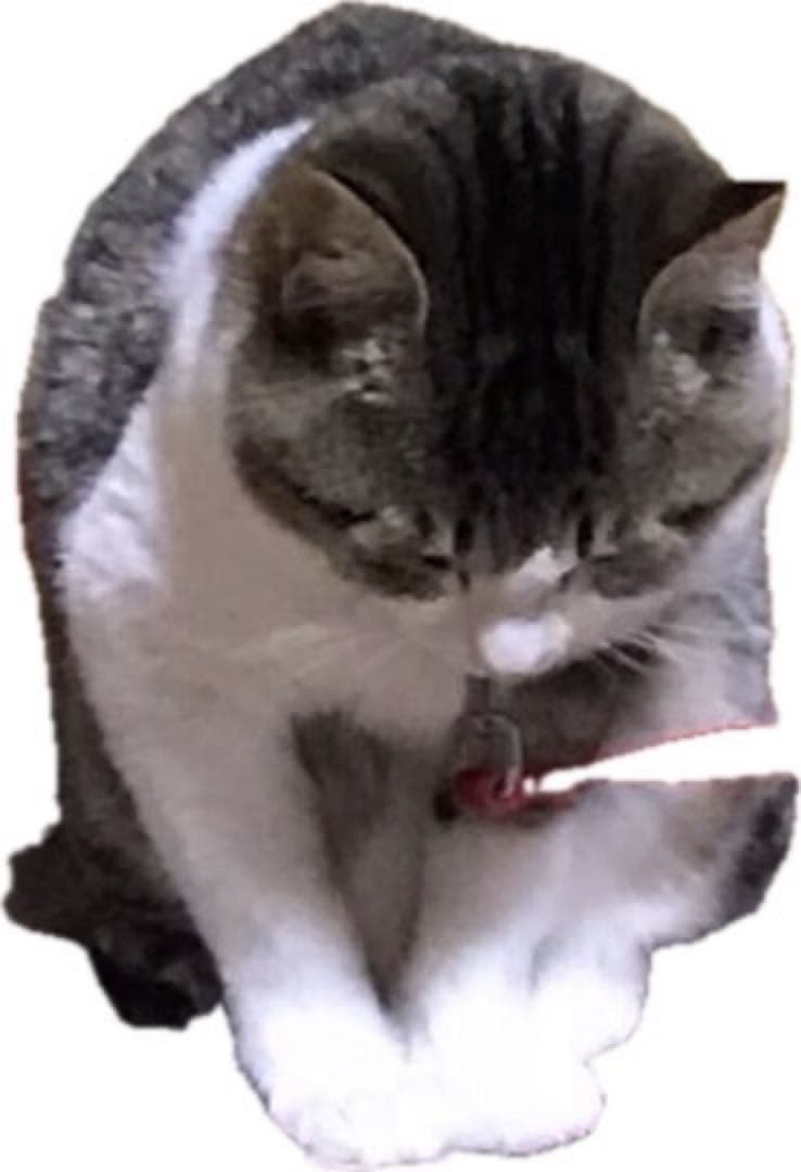 本日限定、大特価‼️ HEALBO (ヘルボ)20個➕大玉2個　液体改質素材