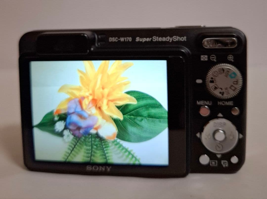 [美品]ソニー SONY Cyber-Shot DSC-W170 デジタルカメラ