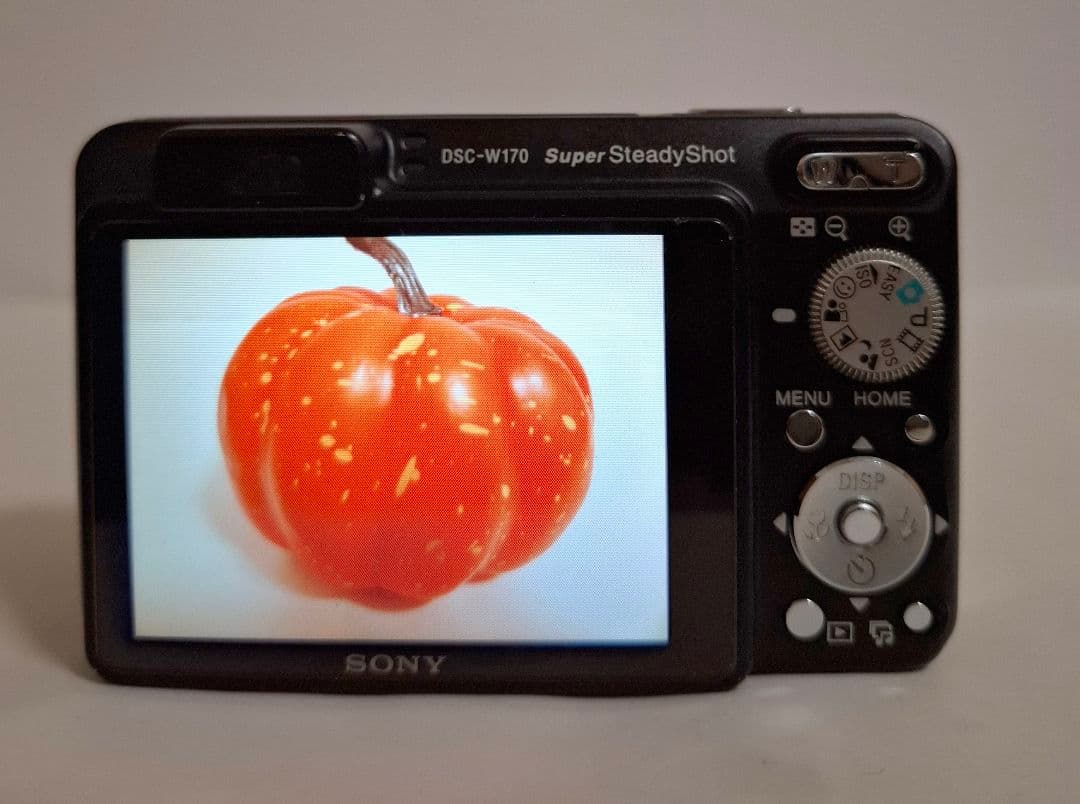 [美品]ソニー SONY Cyber-Shot DSC-W170 デジタルカメラ