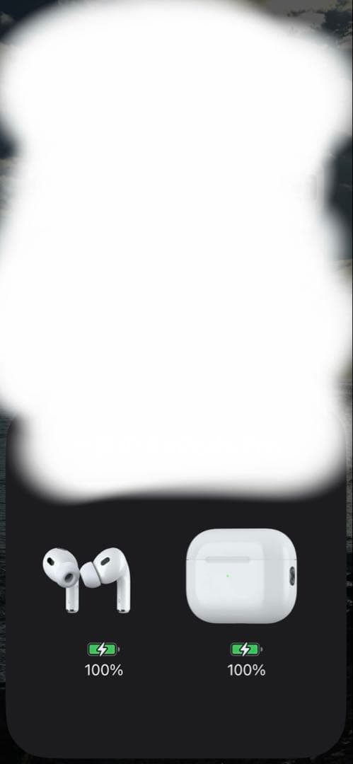 AirPods Pro 第2世代　Apple　USB-typeC